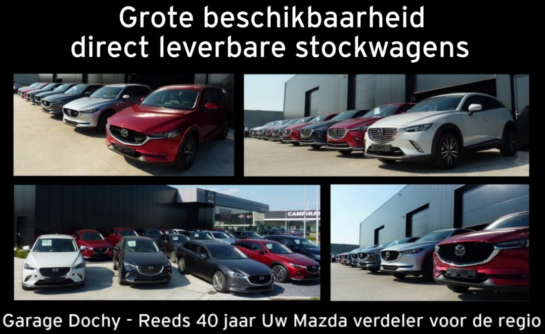 Op zoek naar een nieuwe wagen, ontdek onze stockacties